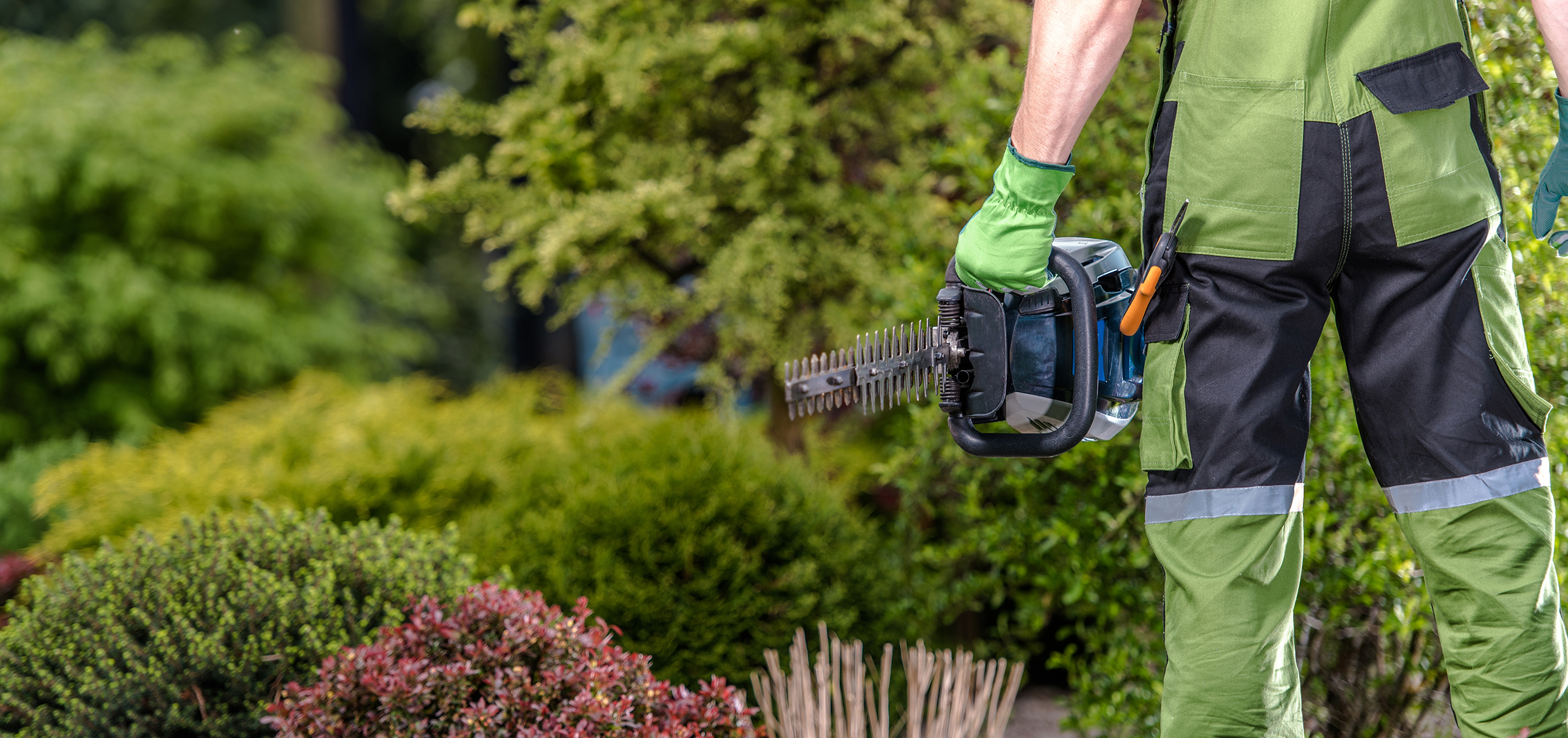 Caucasian Gardener with Powerful Gasoline Shrub Trimmer in a Hand. Gardening Work